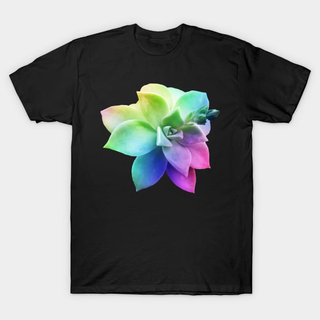 rainbow succulent juicy plant botanical nature T-Shirt by rh_naturestyles